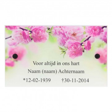 muur tegen geweld