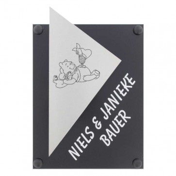RVS + plexiglas naambord 145 x 225 mm