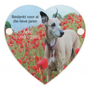 Gedenkplaat plexiglas 15 x 15 cm