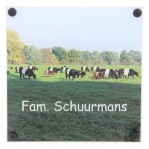 Plexiglas naambord 195 x 195 mm
