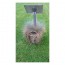 Grondpen rvs 300 mm